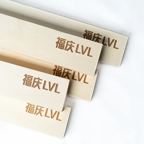 Technical Superiority in Specialized Construction