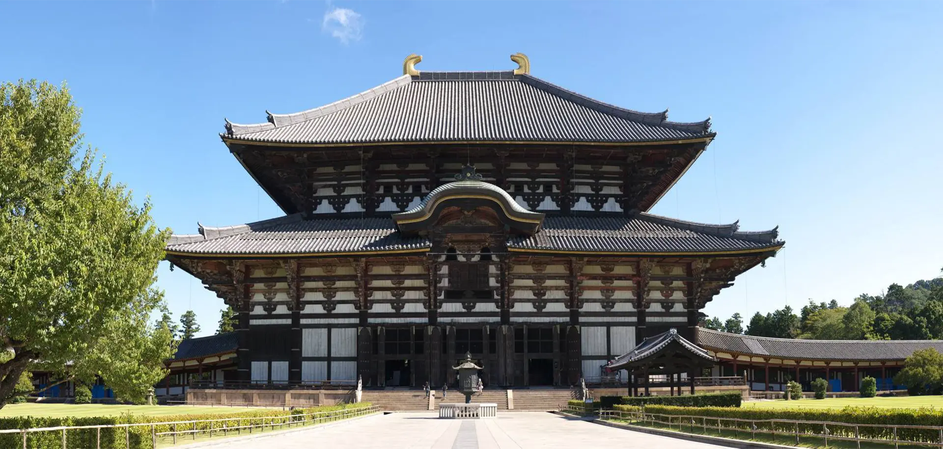 日本のLVLプロジェクト