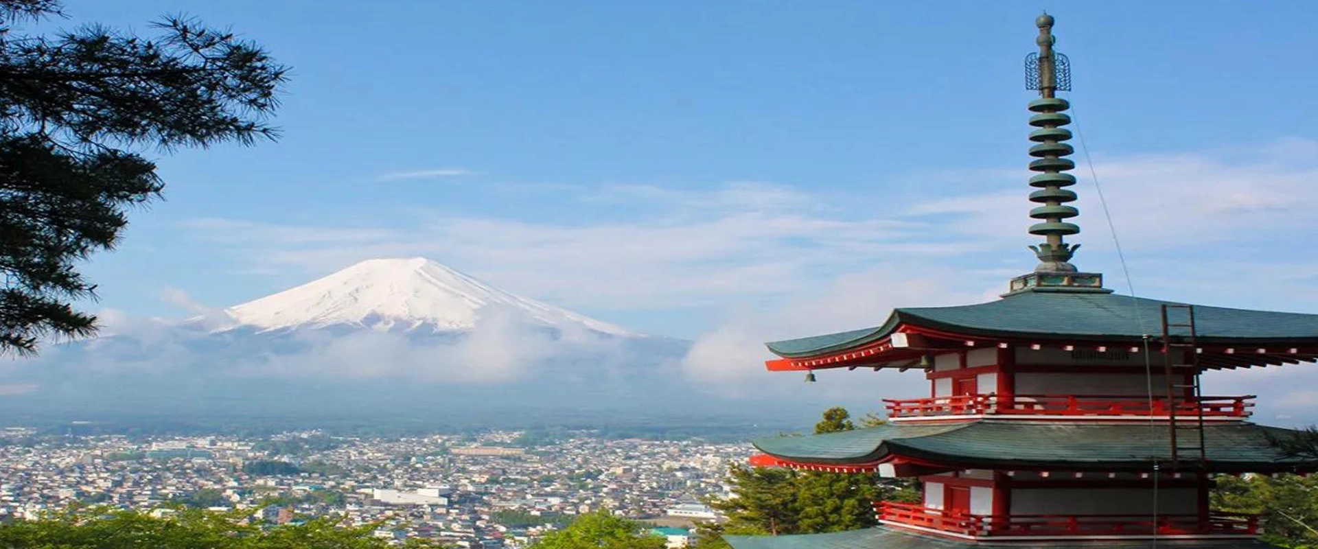 日本のLVLプロジェクト