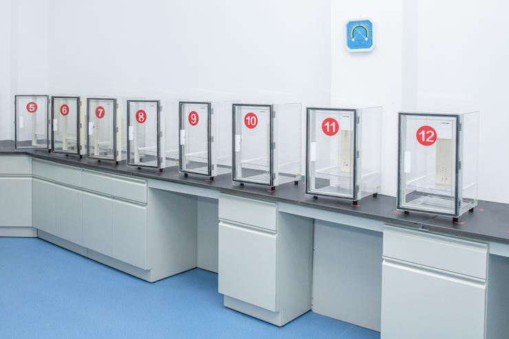 Look Back 2023 | Reach the Highest Heights with the New Glory!