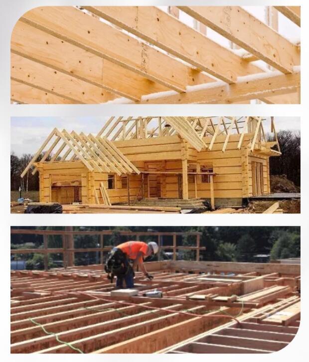 How Does LVL Leverage Its Unique Advantages Under the Dual Carbon Strategy?