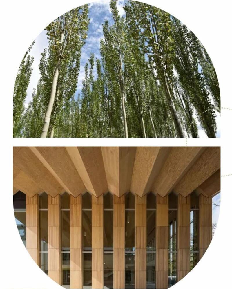 How Does LVL Leverage Its Unique Advantages Under the Dual Carbon Strategy?