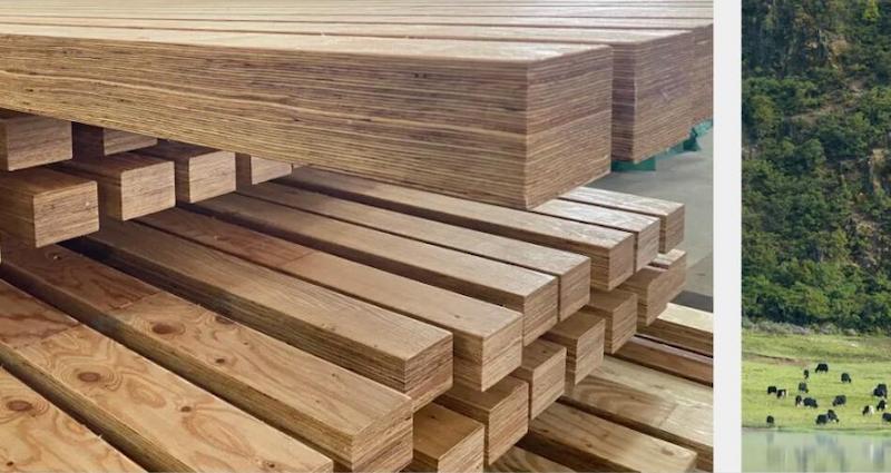 How Does LVL Leverage Its Unique Advantages Under the Dual Carbon Strategy?