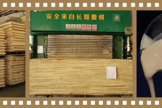 Master Moisture Content, Fear No Wood Deformation!