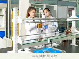 Fuqing LVL Sets a New Benchmark at the Munich Building Materials Expo!