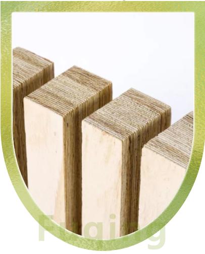 Fuqing LVL Debuts at the German Building Materials Expo, Showcasing High-Performance LVL Structural Materials
