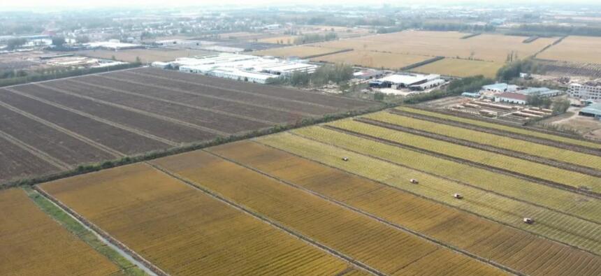 Fuqing Chairman Chen Changfu: Focused on Making Quality Boards for 34 Years, Achieving the Top Export Sales