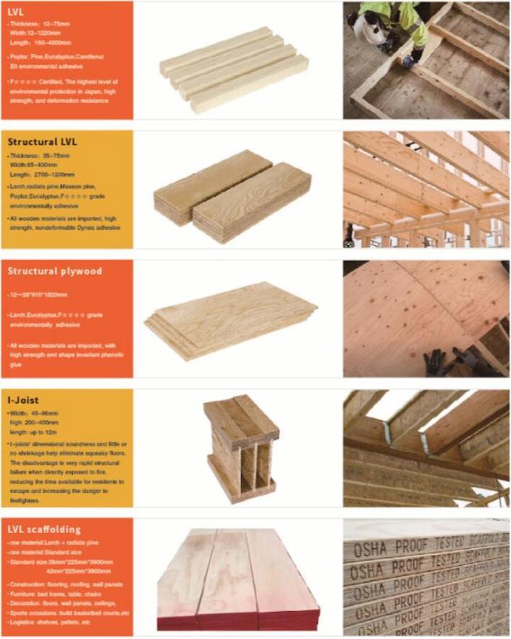 Fuqing LVL March Dubai Exhibition Invites You to Depart Together