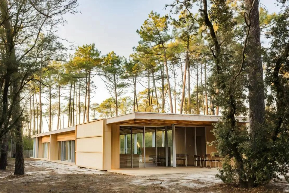 接着剤のビーム