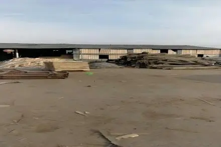 1993年の福清の歴史