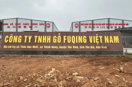 2022年の福清の歴史