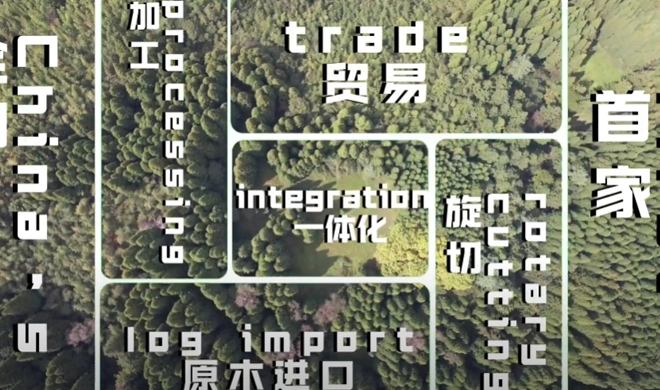 福清木材産業: 中国初の完全統合LVLエンタープライズ丸太の輸入、ベニヤの剥離、加工、貿易を1つの屋根の下で組み合わせる