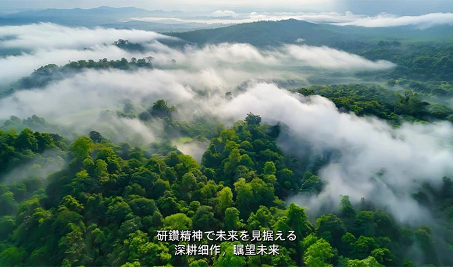 福清: 卓越性に根ざし、世界に奉仕する職人技の世紀