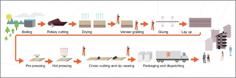 Fuqing LVL Full-Industry Chain Services