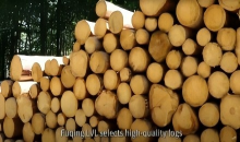 35年の品質財団、ソースから管理されています!