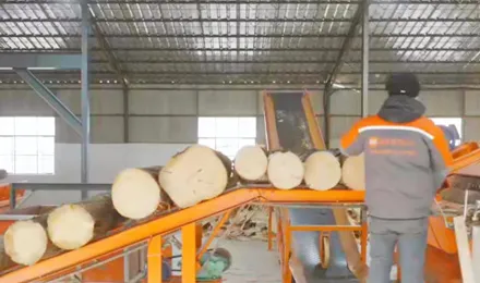 より良いベニヤ、より信頼できるビルド。